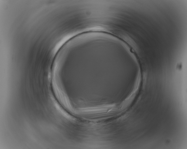 X0000114181428200910221703