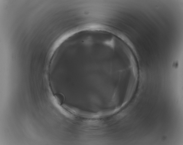 X0000114181429200910221703