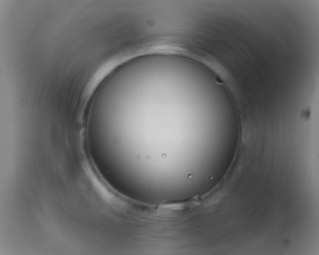 X0000114181430200910221703