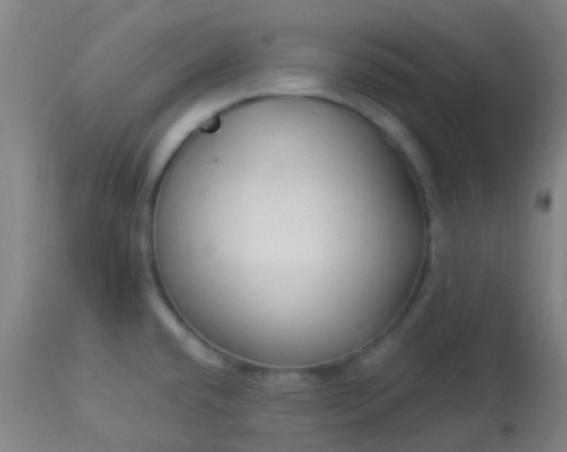 X0000114181432200910221703