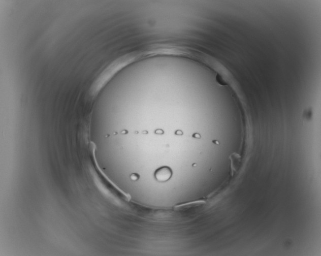 X0000114181433200910221703