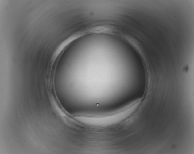 X0000114181434200910221703