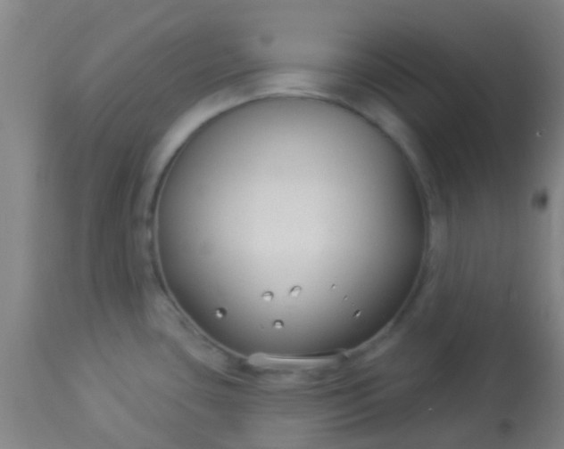 X0000114181435200910221703