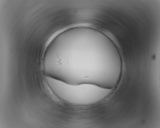 X0000114181436200910221703