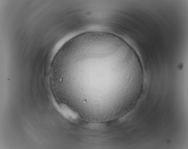 X0000114181437200910221703