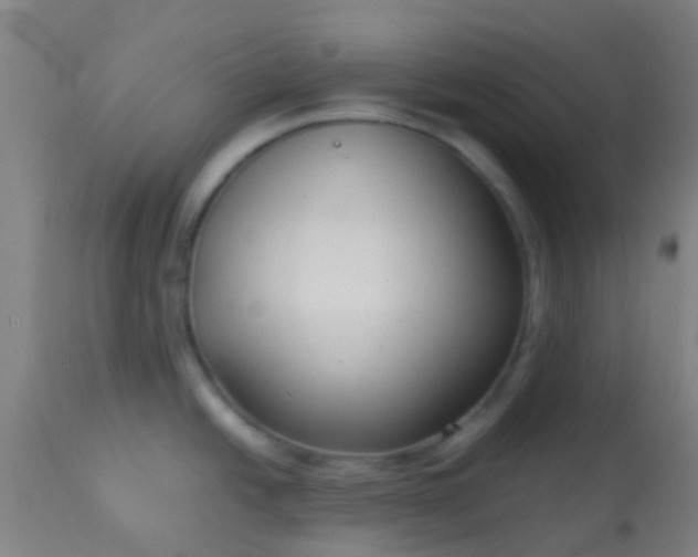 X0000114181438200910221703