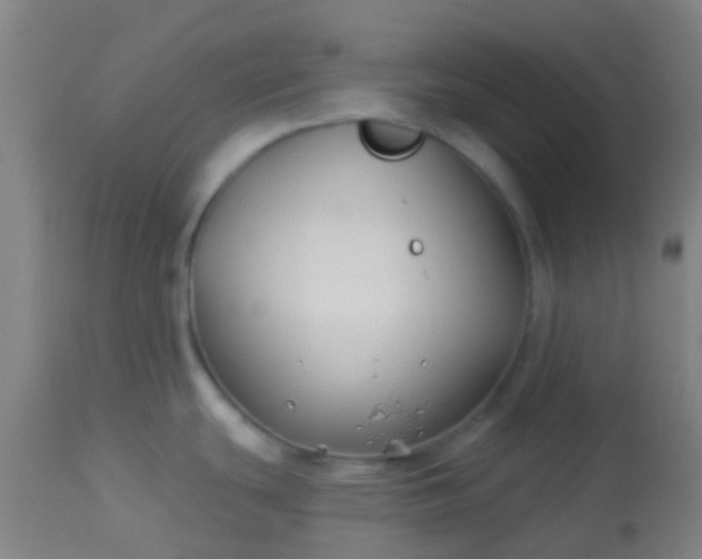 X0000114181439200910221703