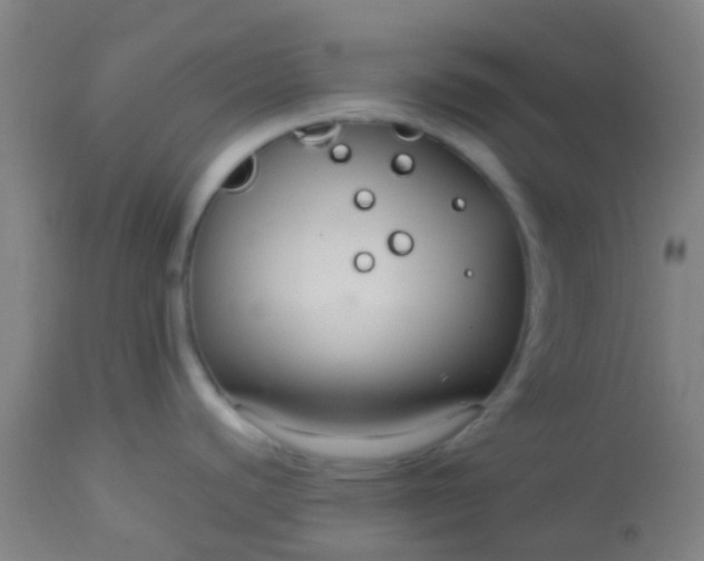 X0000114181440200910221703