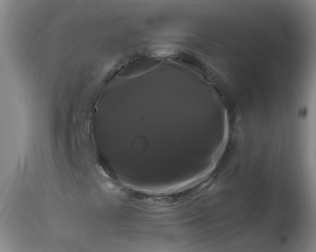 X0000114181441200910221703