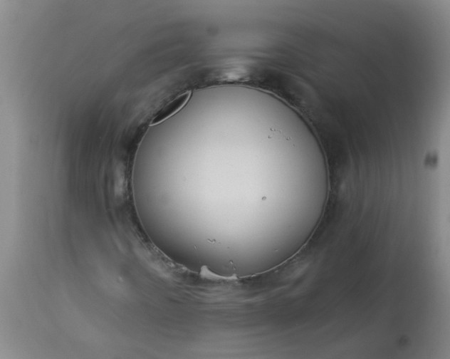 X0000114181442200910221703