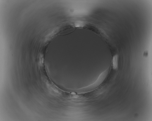 X0000114181443200910221703