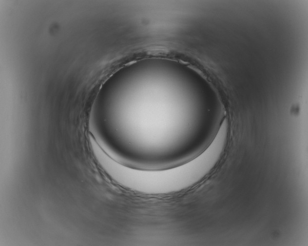 X0000114181445200910221703