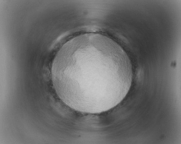 X0000114181446200910221703