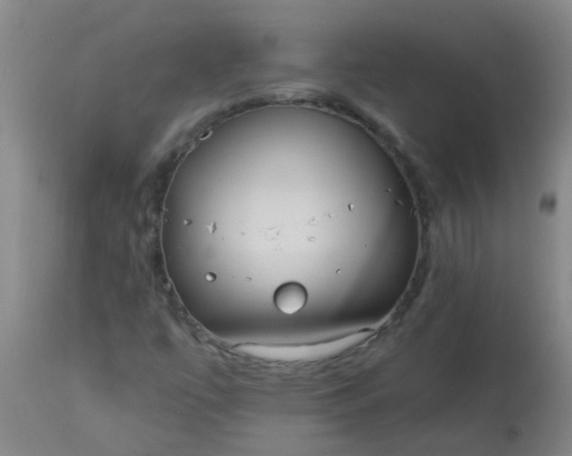 X0000114181447200910221703