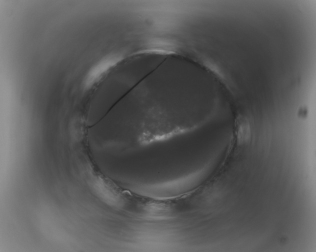 X0000114181448200910221703