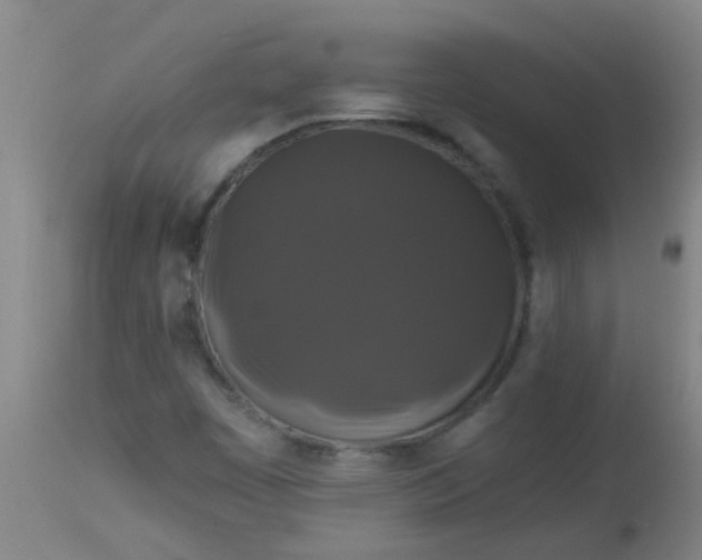 X0000114181449200910221703