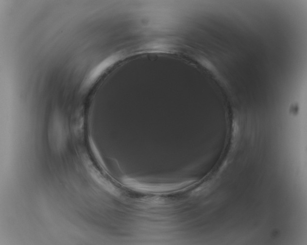 X0000114181450200910221703