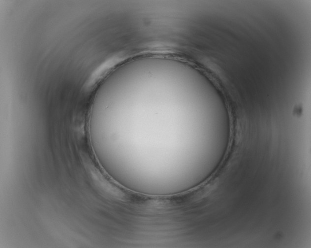 X0000114181451200910221703