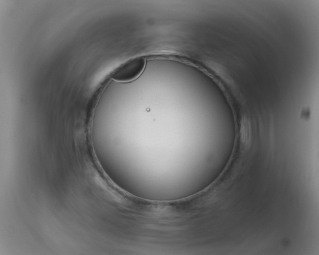 X0000114181452200910221703