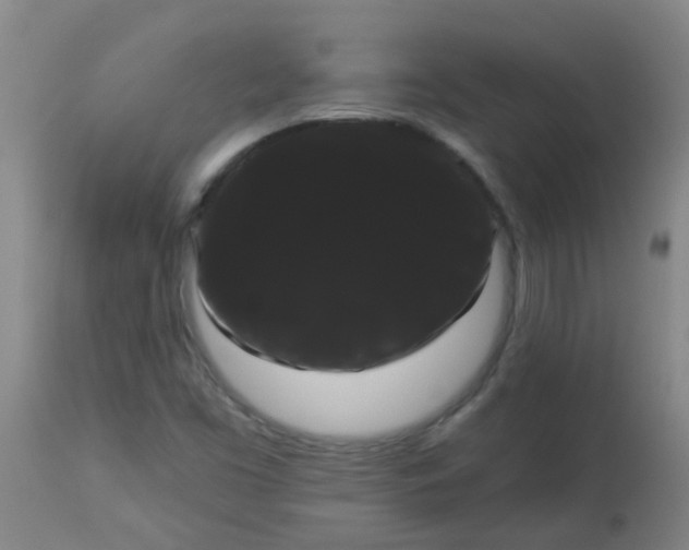 X0000114181453200910221703