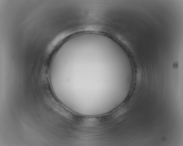 X0000114181454200910221703