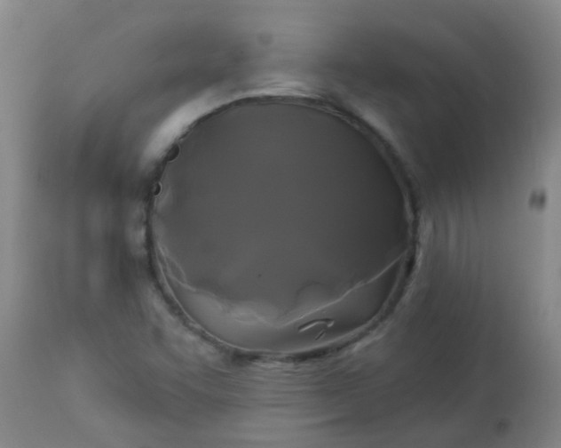 X0000114181455200910221703