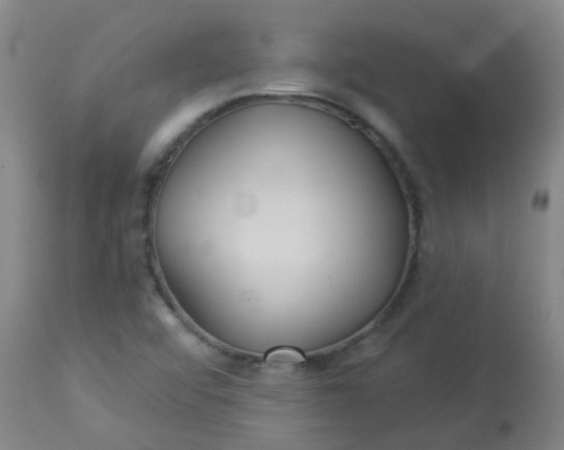 X0000114181456200910221703