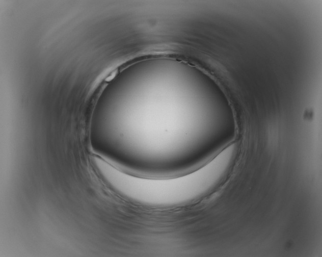 X0000114181457200910221702