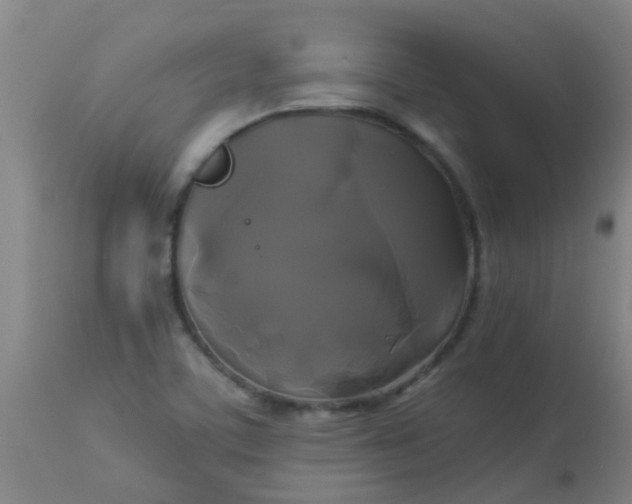 X0000114181459200910221702