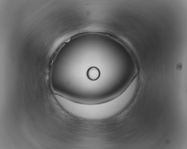 X0000114181461200910221702