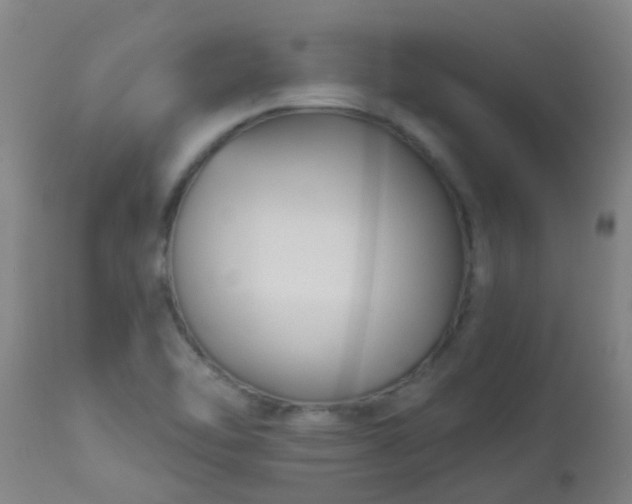 X0000114181462200910221702