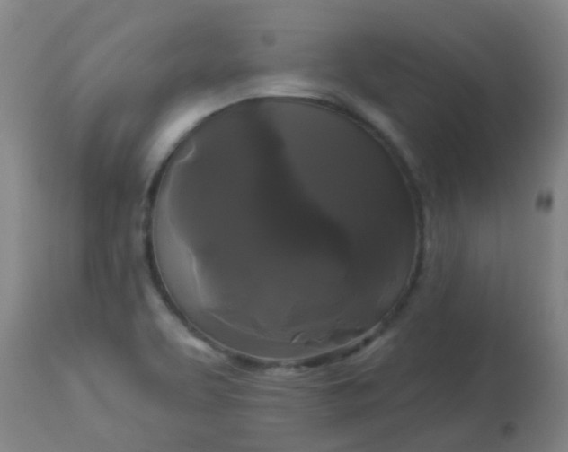 X0000114181463200910221702