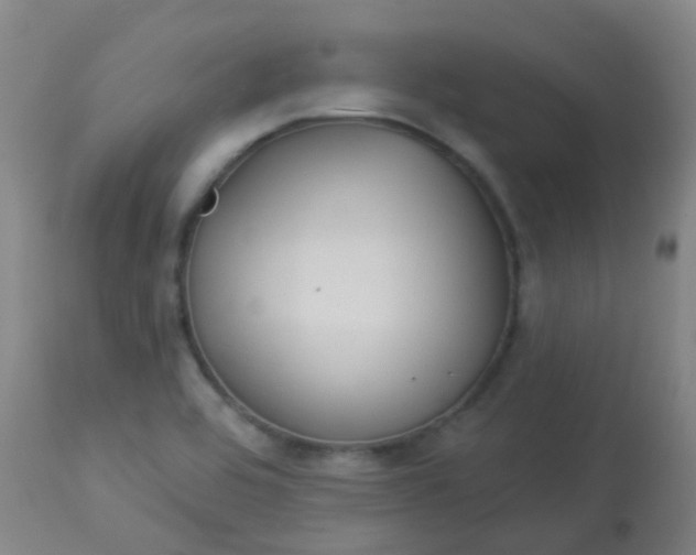 X0000114181464200910221702