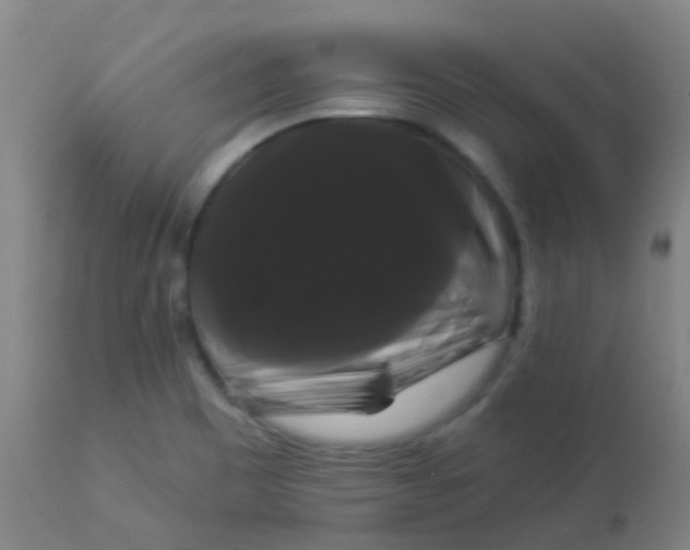 X0000114181465200910221702