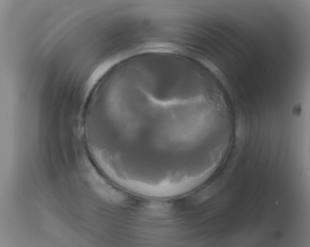 X0000114181466200910221702