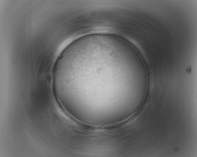 X0000114181467200910221702