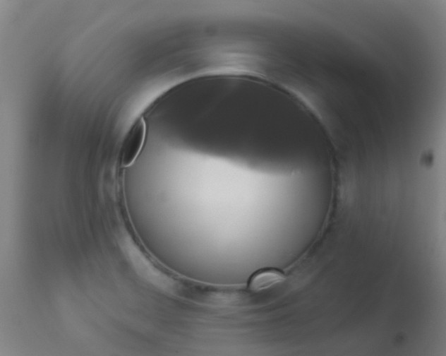 X0000114181468200910221702