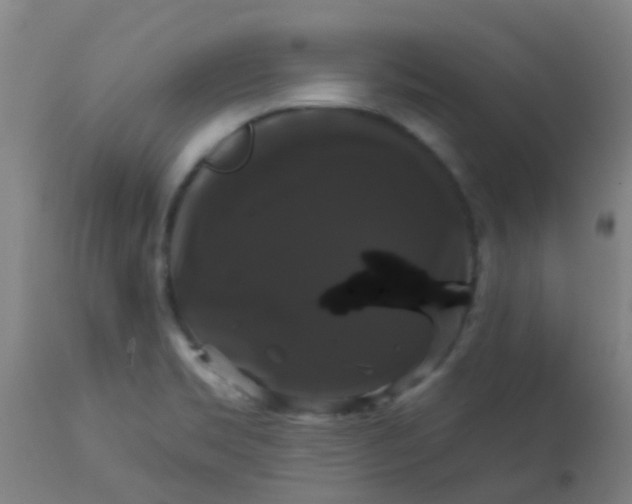 X0000114181469200910221702