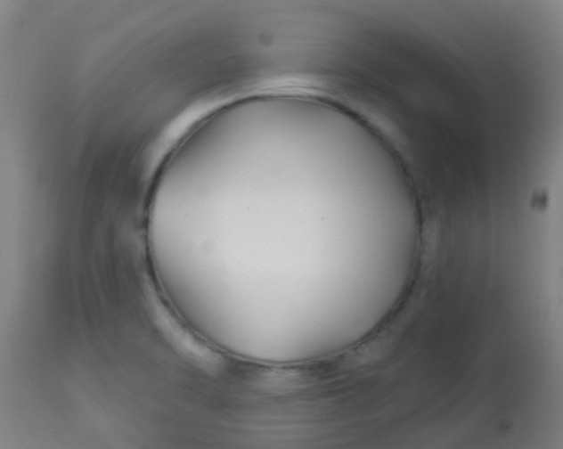 X0000114181470200910221702