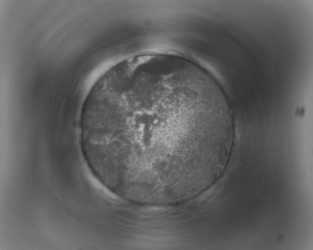 X0000114181471200910221702