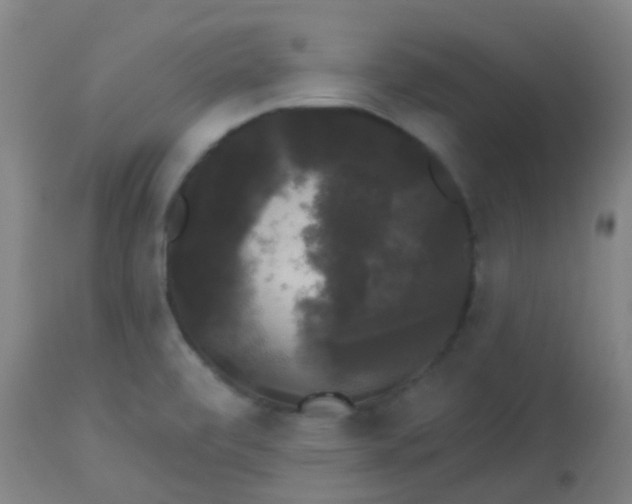 X0000114181472200910221702