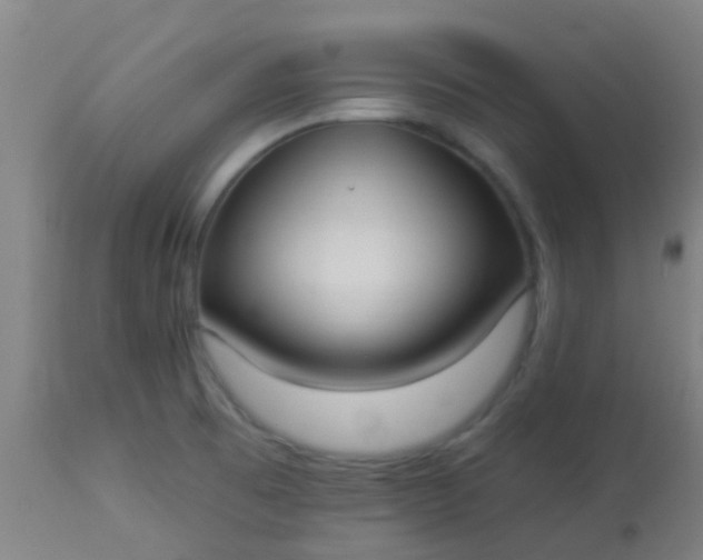 X0000114181473200910221702