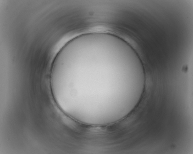 X0000114181478200910221702