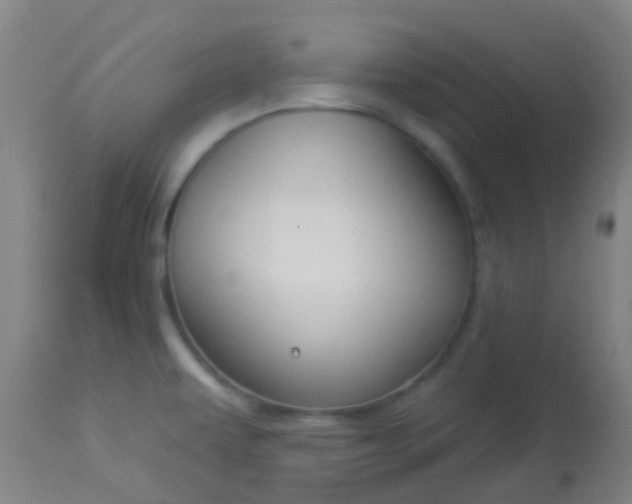 X0000114181479200910221702