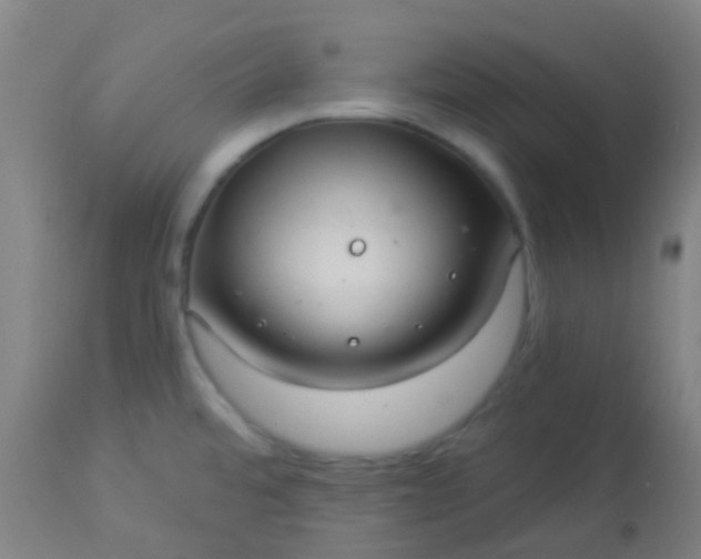 X0000114181480200910221702