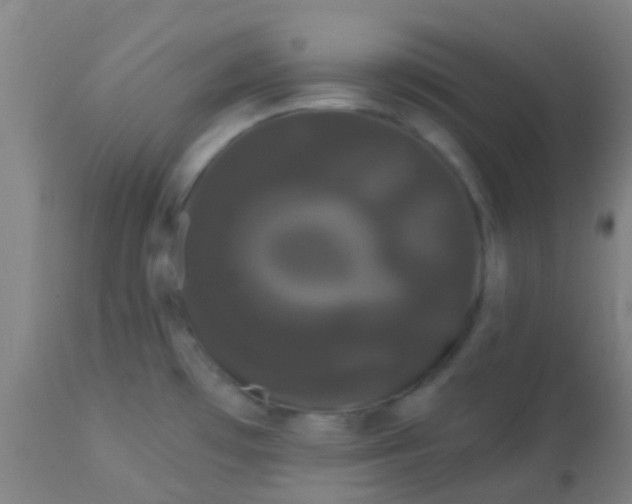 X0000114181481200910221702