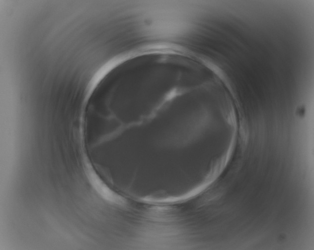 X0000114181482200910221702