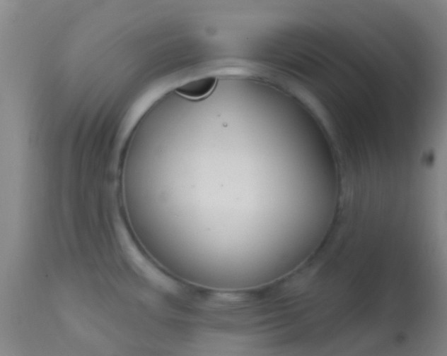 X0000114181483200910221702