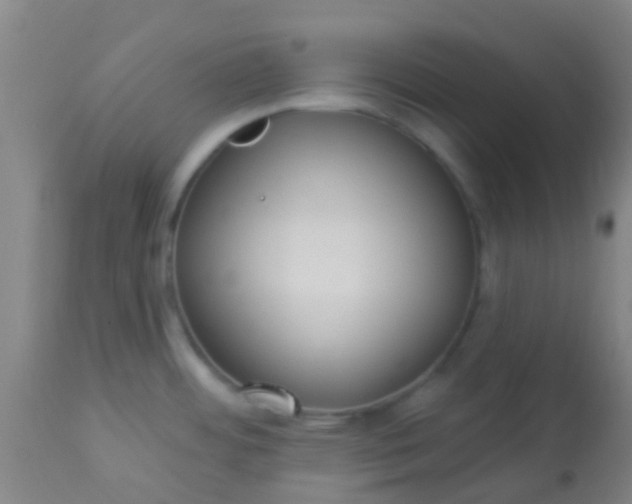 X0000114181484200910221702