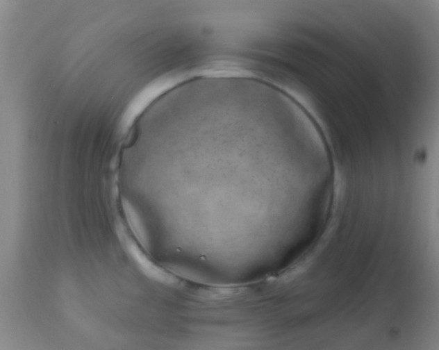 X0000114181485200910221702